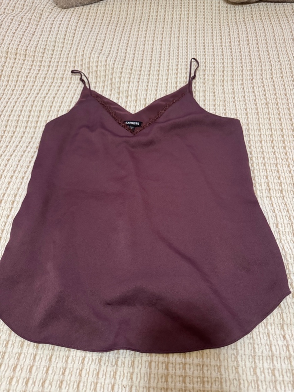 Express Plum V-Neck Satin Lace Trim Cami